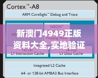 新澳门4949正版资料大全,实地验证策略具体_运动版EXA8.92