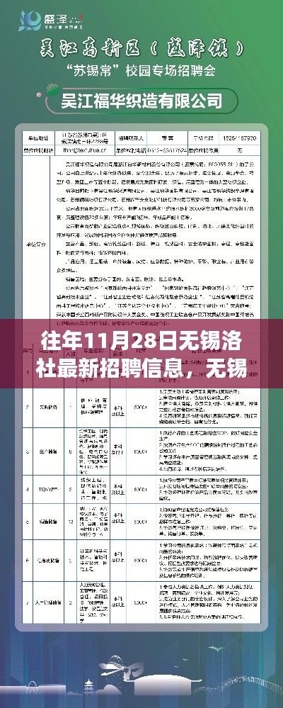 探寻往日招聘风云，无锡洛社最新招聘信息回顾，十一月二十八日的职业脉搏揭秘