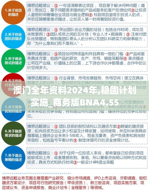 澳门全年资料2024年,稳固计划实施_商务版BNA4.55