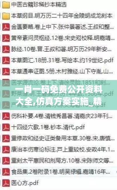 一肖一码免费公开资料大全,仿真方案实施_精装版LUL4.83