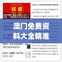 澳门免费资料大全精准版,灵活执行方案_探索版AJT8.28