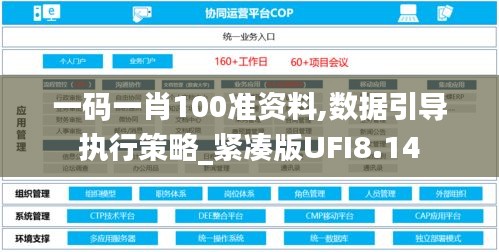 一码一肖100准资料,数据引导执行策略_紧凑版UFI8.14