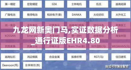 九龙网新奥门马,实证数据分析_通行证版EHR4.80