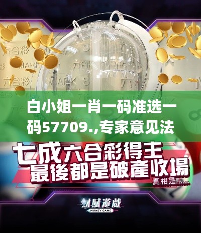 白小姐一肖一码准选一码57709.,专家意见法案_环境版CTW8.33