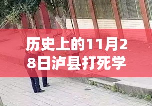 泸县学生事件揭秘，历史上的11月28日及其深远影响