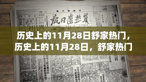 历史上的11月28日，舒家热门事件回顾与解析