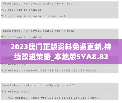 2023澳门正版资料免费更新,持续改进策略_本地版SYA8.82