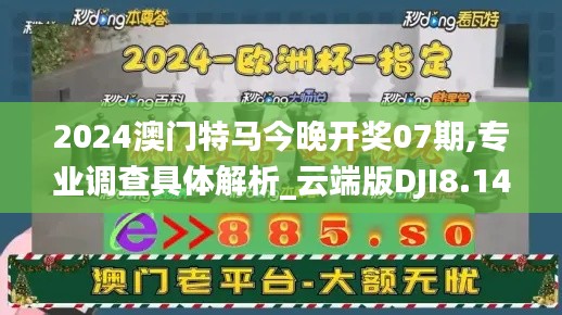 2024澳门特马今晚开奖07期,专业调查具体解析_云端版DJI8.14