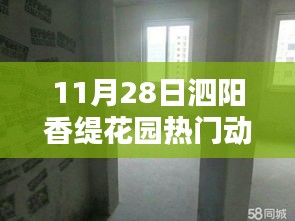 泗阳香缇花园11月28日瞩目焦点，最新动态揭秘