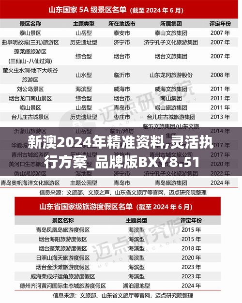 新澳2024年精准资料,灵活执行方案_品牌版BXY8.51