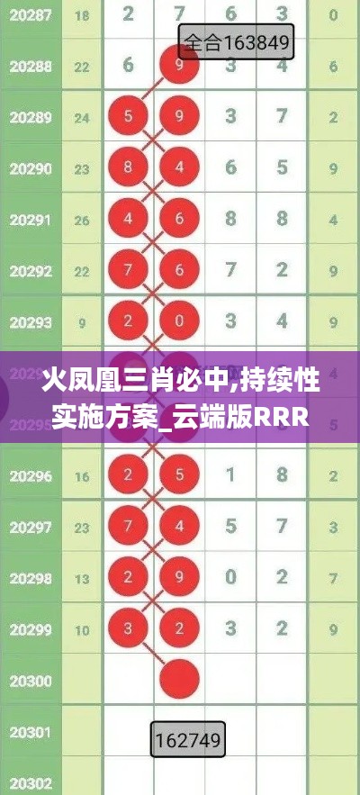 火凤凰三肖必中,持续性实施方案_云端版RRR4.62