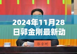 郭金刚最新动态深度解析，聚焦观点于2024年11月28日