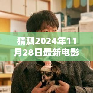 揭秘2024年11月28日新电影在线观赏指南，热门影片一网打尽🎥