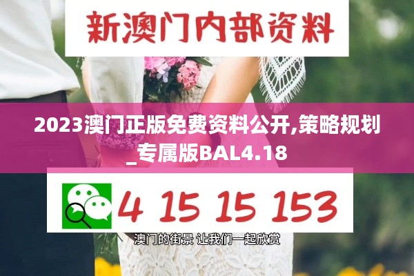 2023澳门正版免费资料公开,策略规划_专属版BAL4.18