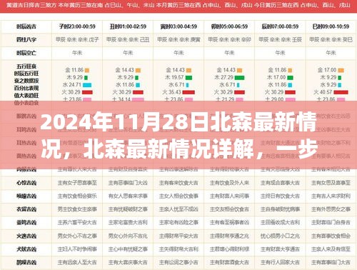 北森最新动态详解，关键信息与任务操作指南（2024年11月28日更新）