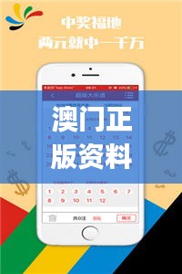 澳门正版资料免费大全2023年,即时解答解析分析_艺术版VGO8.48