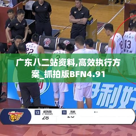 广东八二站资料,高效执行方案_抓拍版BFN4.91