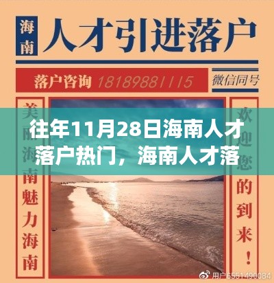 海南人才落户日的温馨故事，11月28日的人才落户热潮