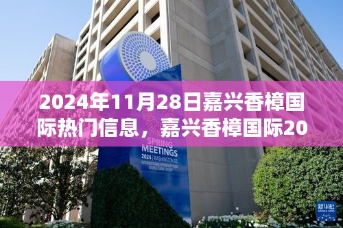 嘉兴香樟国际2024年11月28日热门信息全攻略，获取最新资讯与任务技能指南