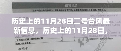 历史上的11月28日，探寻二号台风下的自然美景治愈之旅