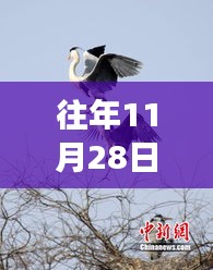 反正还淳 第2页