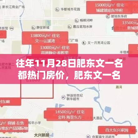 肥东文一名都11月28日热门房价深度解析与评测报告