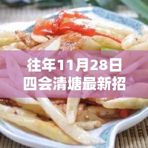 往年11月28日四会清塘最新招聘信息解析与深度介绍