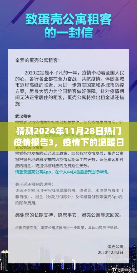 疫情下的温暖日常与希望之光，预测中的故事与未来展望（2024年疫情报告）