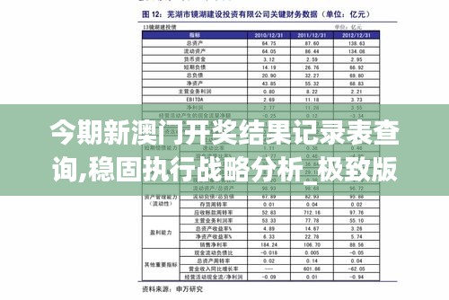 今期新澳门开奖结果记录表查询,稳固执行战略分析_极致版AFL30.597