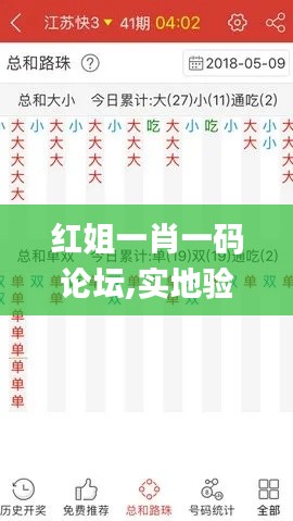 红姐一肖一码论坛,实地验证研究方案_绝版TDQ22.933