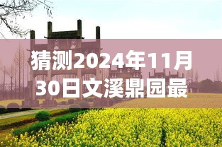 2024年11月30日文溪鼎园二手房市场展望与预测，崭新篇章