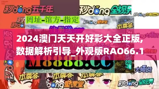 2024澳门天天开好彩大全正版,数据解析引导_外观版RAO66.162