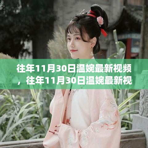 温婉往年11月30日视频深度解析，特性、体验与目标用户探讨评测报告