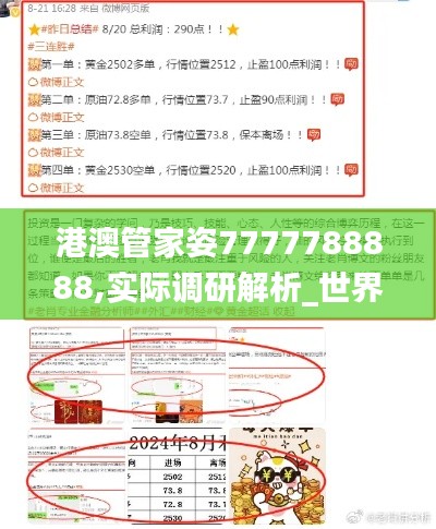 港澳管家姿7777788888,实际调研解析_世界版DYA40.935