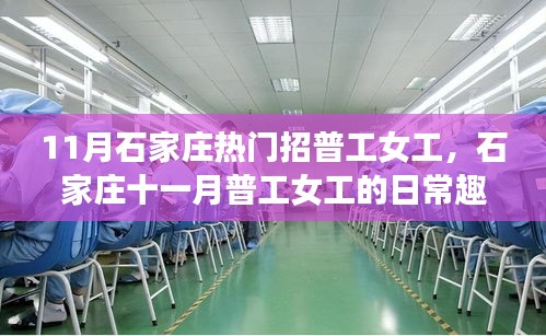 石家庄十一月普工女工的日常趣事与温情纽带，热门招聘女工探秘