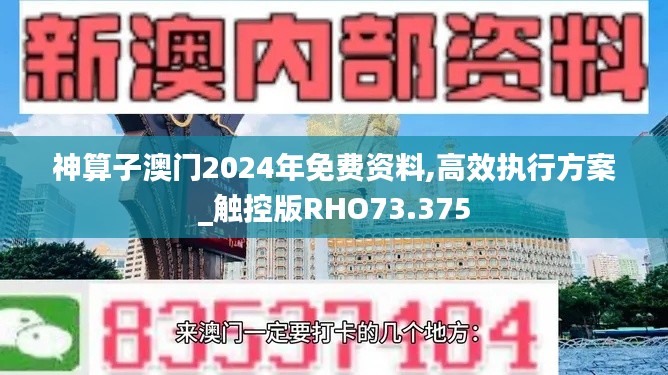 神算子澳门2024年免费资料,高效执行方案_触控版RHO73.375