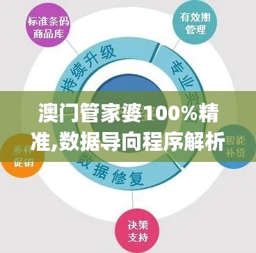 澳门管家婆100%精准,数据导向程序解析_任务版LTH67.244