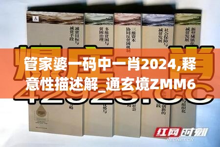 管家婆一码中一肖2024,释意性描述解_通玄境ZMM67.441