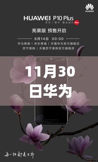 华为P10新动态揭秘，变化与创新的学习与成长魔力之旅