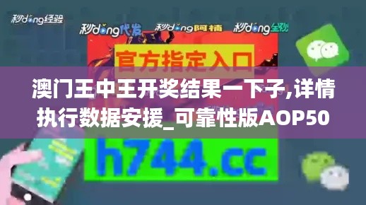 澳门王中王开奖结果一下子,详情执行数据安援_可靠性版AOP50.877