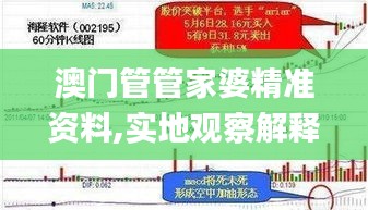 澳门管管家婆精准资料,实地观察解释定义_时刻版IFZ61.486