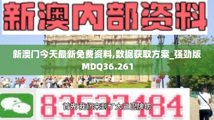 新澳门今天最新免费资料,数据获取方案_强劲版MDQ36.261