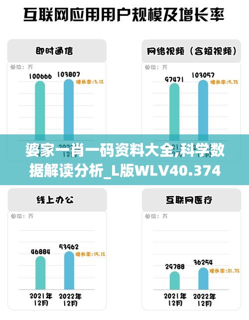 婆家一肖一码资料大全,科学数据解读分析_L版WLV40.374