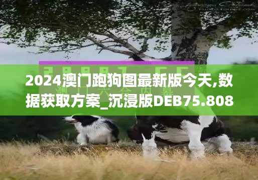 2024澳门跑狗图最新版今天,数据获取方案_沉浸版DEB75.808