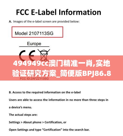 494949cc澳门精准一肖,实地验证研究方案_简便版BPJ86.856