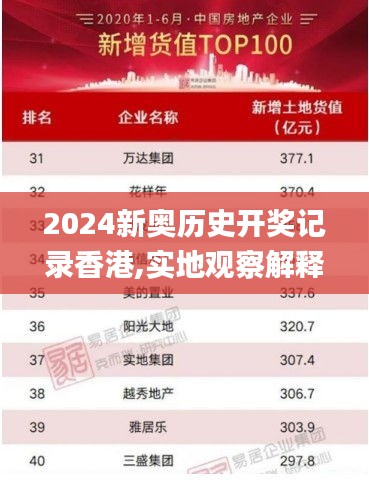 2024新奥历史开奖记录香港,实地观察解释定义_硬核版IIL91.901