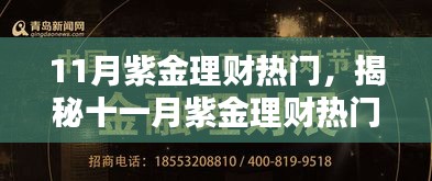 揭秘十一月紫金理财热门，巷弄深处的特色理财小店大热。