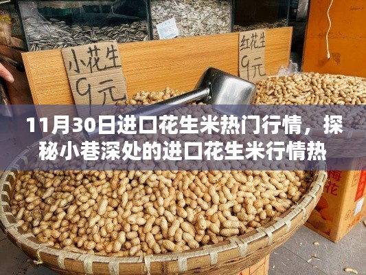 探秘进口花生米行情热点，味觉奇遇的11月30日热门行情解析