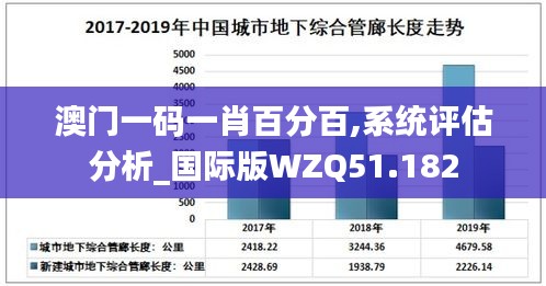 澳门一码一肖百分百,系统评估分析_国际版WZQ51.182