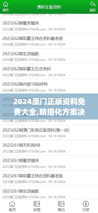 2024澳门正版资料免费大全,精细化方案决策_编辑版LVA71.262